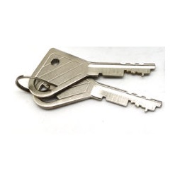 Dual-Nose-Safe-Deposit-Lock-with-Changeable-Renter-Guard-Key (1) - Copia